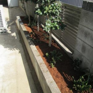 エアコン室外機及び風当たりによる乾燥防止をした庭木