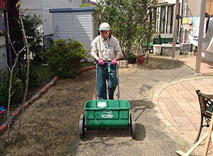 芝生を整えるトータルグリーンのスタッフ