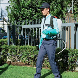 芝生に薬剤を散布するトータルグリーンのスタッフ