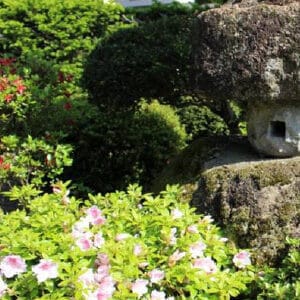 きれいに整えられた庭木と花