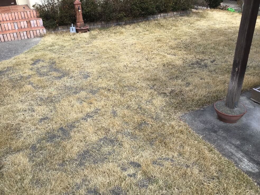 芝生の硬くなった土どうする 郡山市 福島市のお庭のお手入れ Totalgreen トータルグリーン ダスキンウォンツ ダスキン大槻
