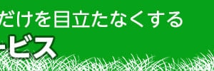 雑草が目立たないサービス